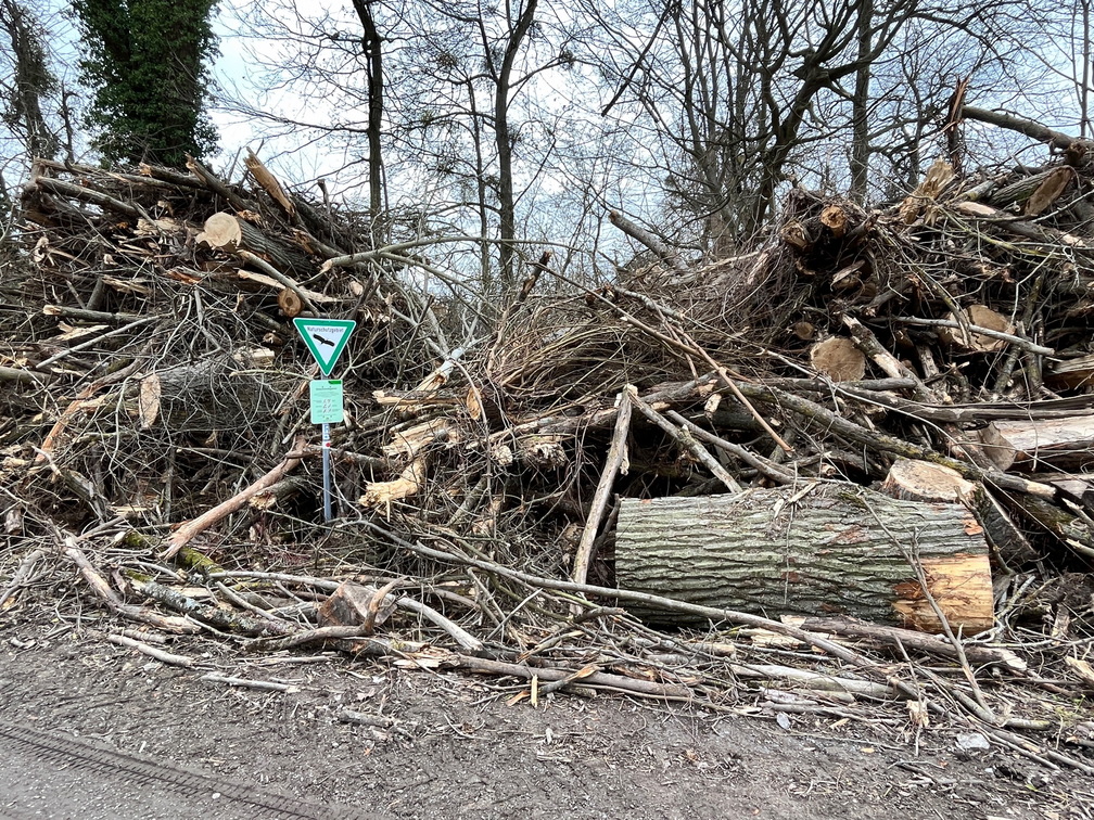 23-02-18 15-21-03 4267